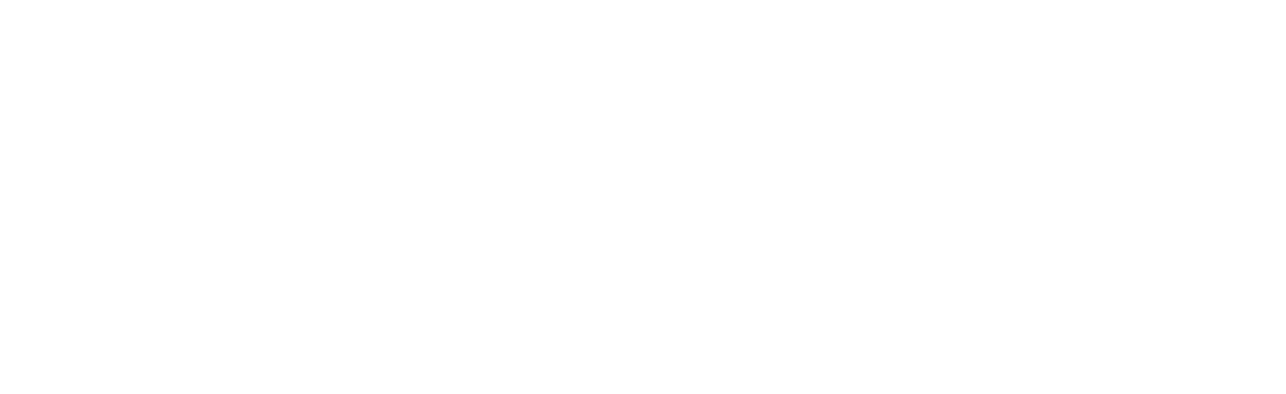netwolk GmbH